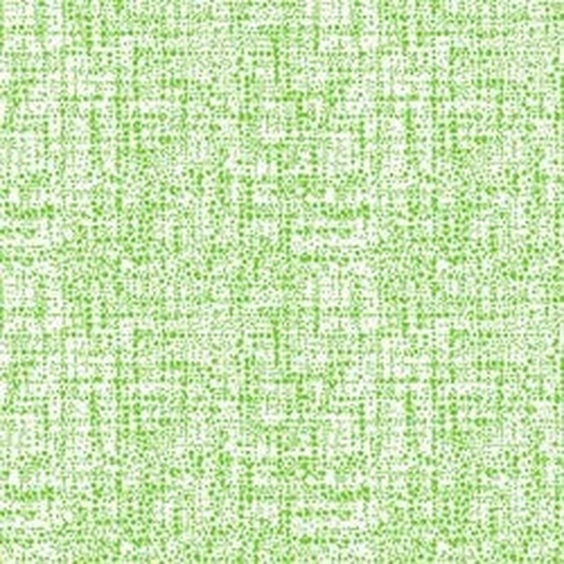 Michael Miller Coco - Kiwi