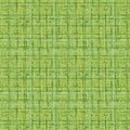 Michael Miller Coco - Pistachio