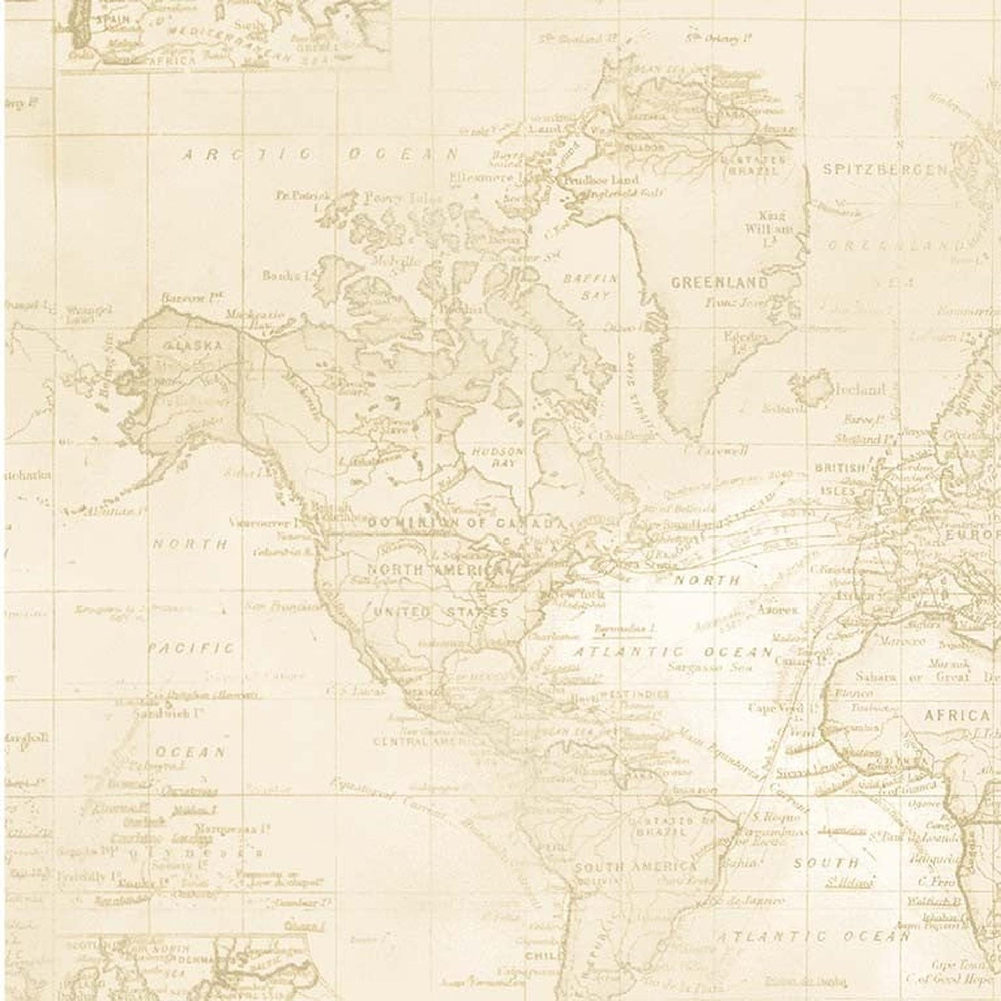 Michael Miller Widebacks Sea Navigation: Beige