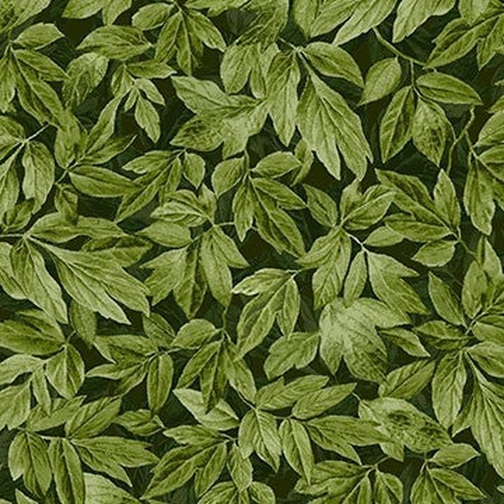 Michael Miller Wisteria Lane Leaves - Juniper