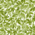 Michael Miller Wisteria Lane Leaves - Sage