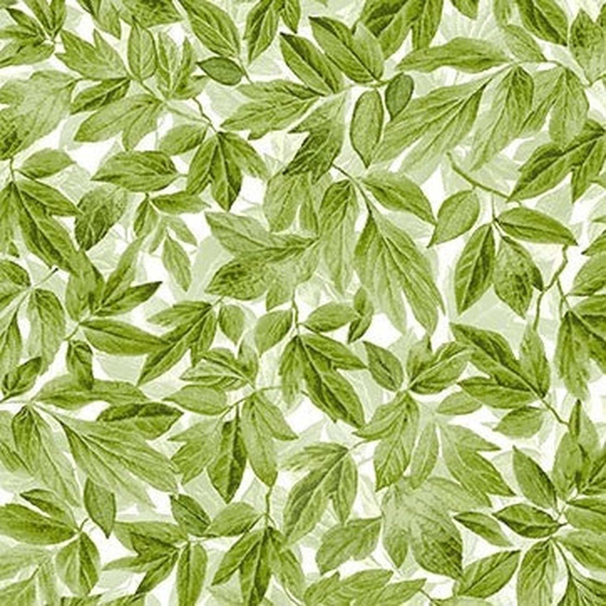 Michael Miller Wisteria Lane Leaves - Sage