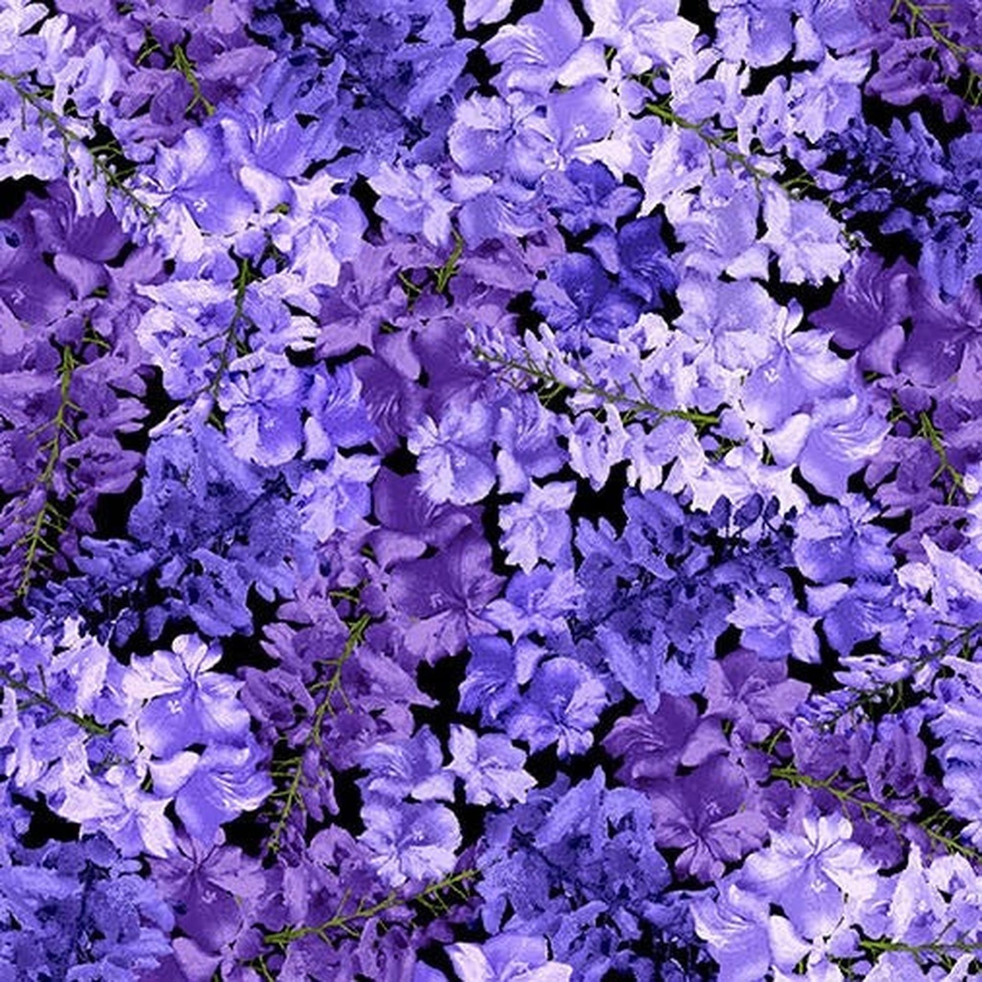 Michael Miller Wisteria Lane Wisteria Petals - Sapphire