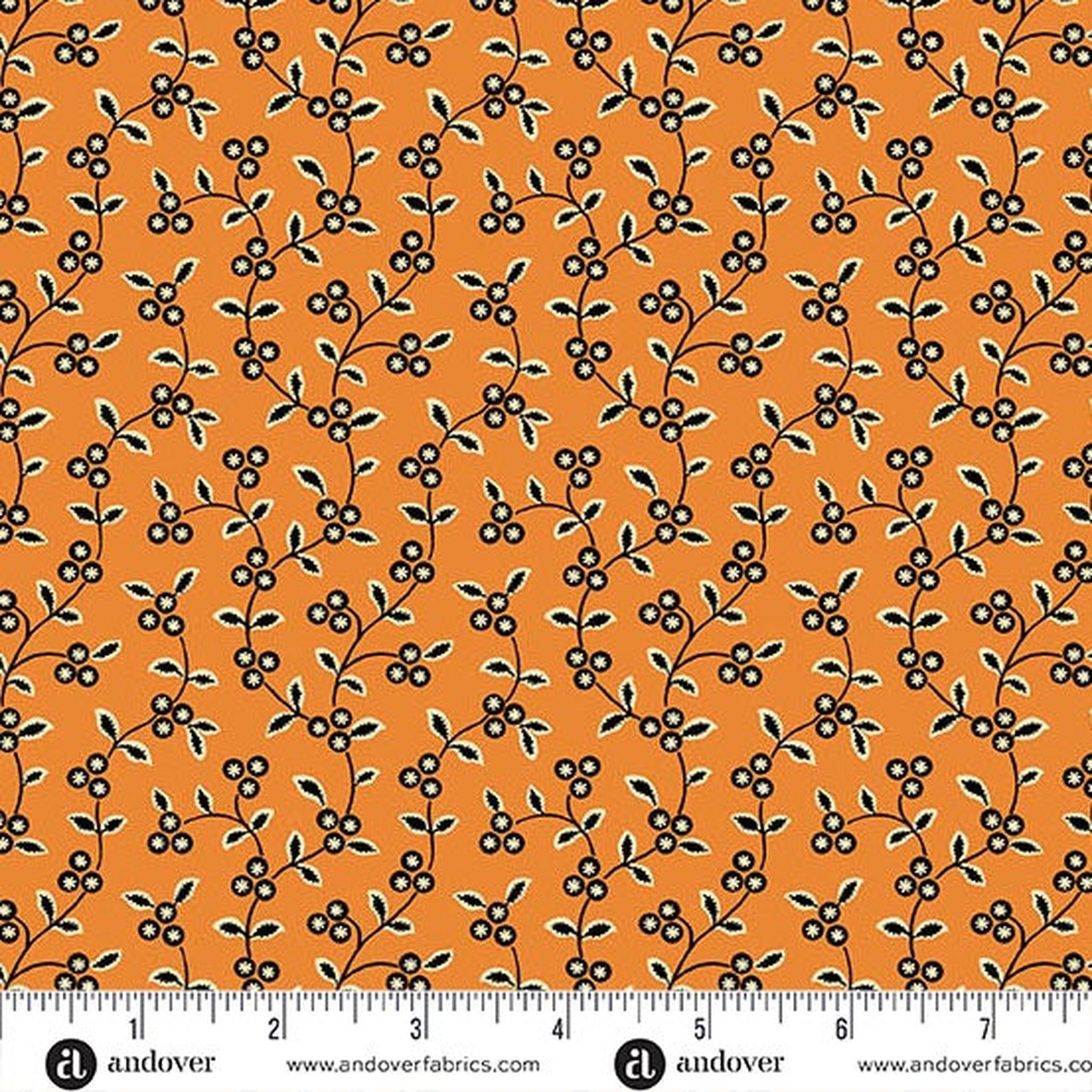 Midnight Moon Vine - Pumpkin