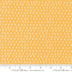 Moda Lucky Xs and Os Sun