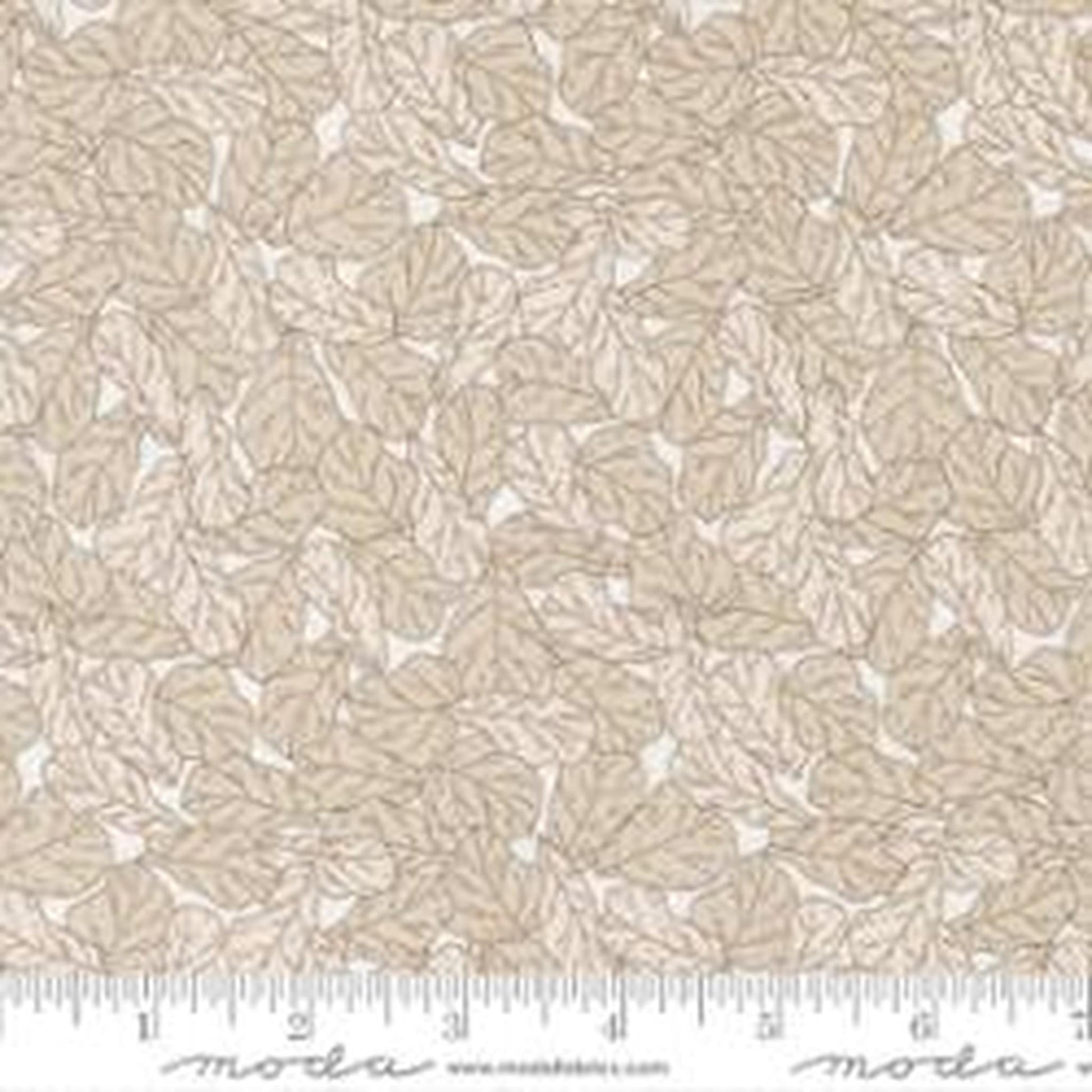 Moda Potted by Kiley's Quilt Room - Fiddle Leaf Cream