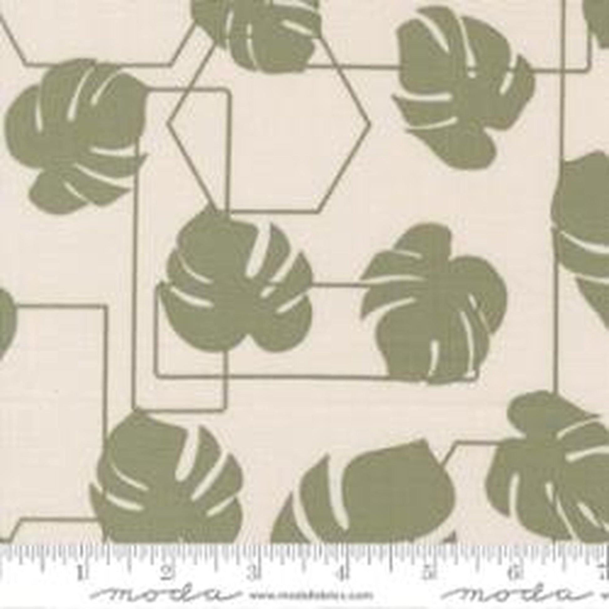 Moda Potted by Kiley's Quilt Room - Monstera Geo Stone