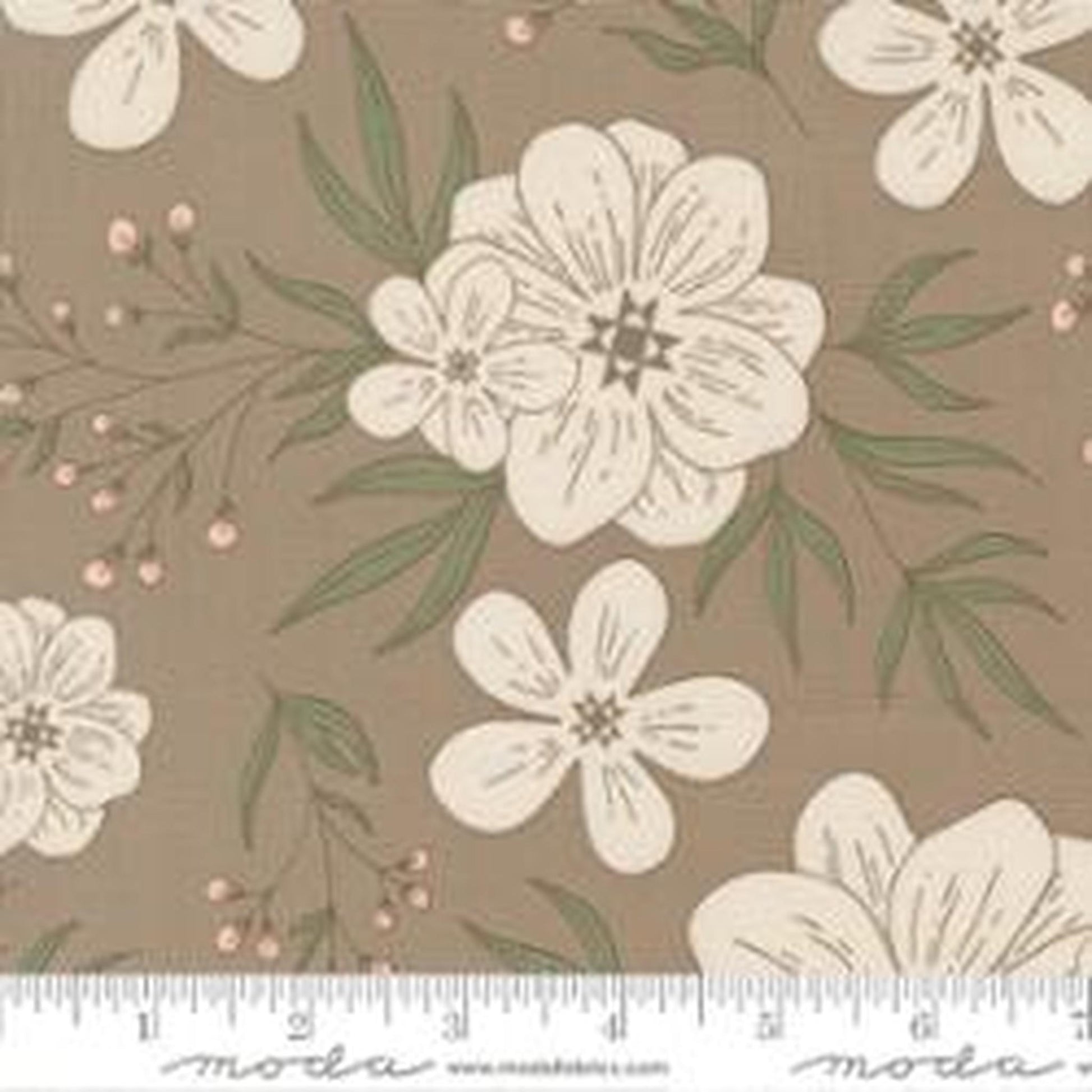 Moda Potted by Kiley's Quilt Room - Star Bloom Ash