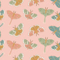 Moonbeam Dreams by Poppie Cotton - Blush Lunar Moth