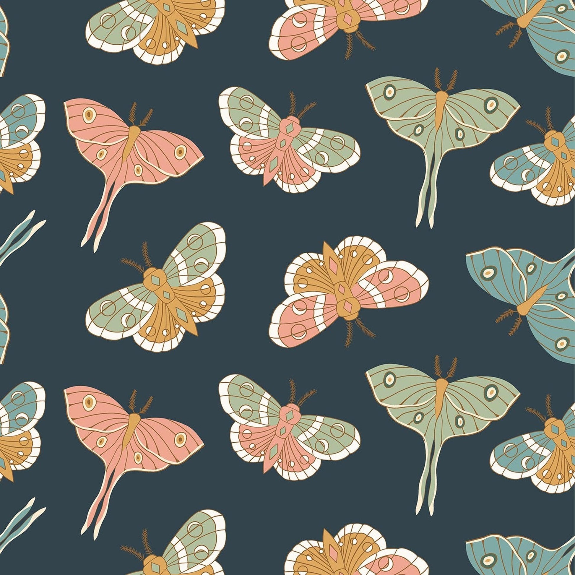 Moonbeam Dreams by Poppie Cotton - Night Lunar Moth