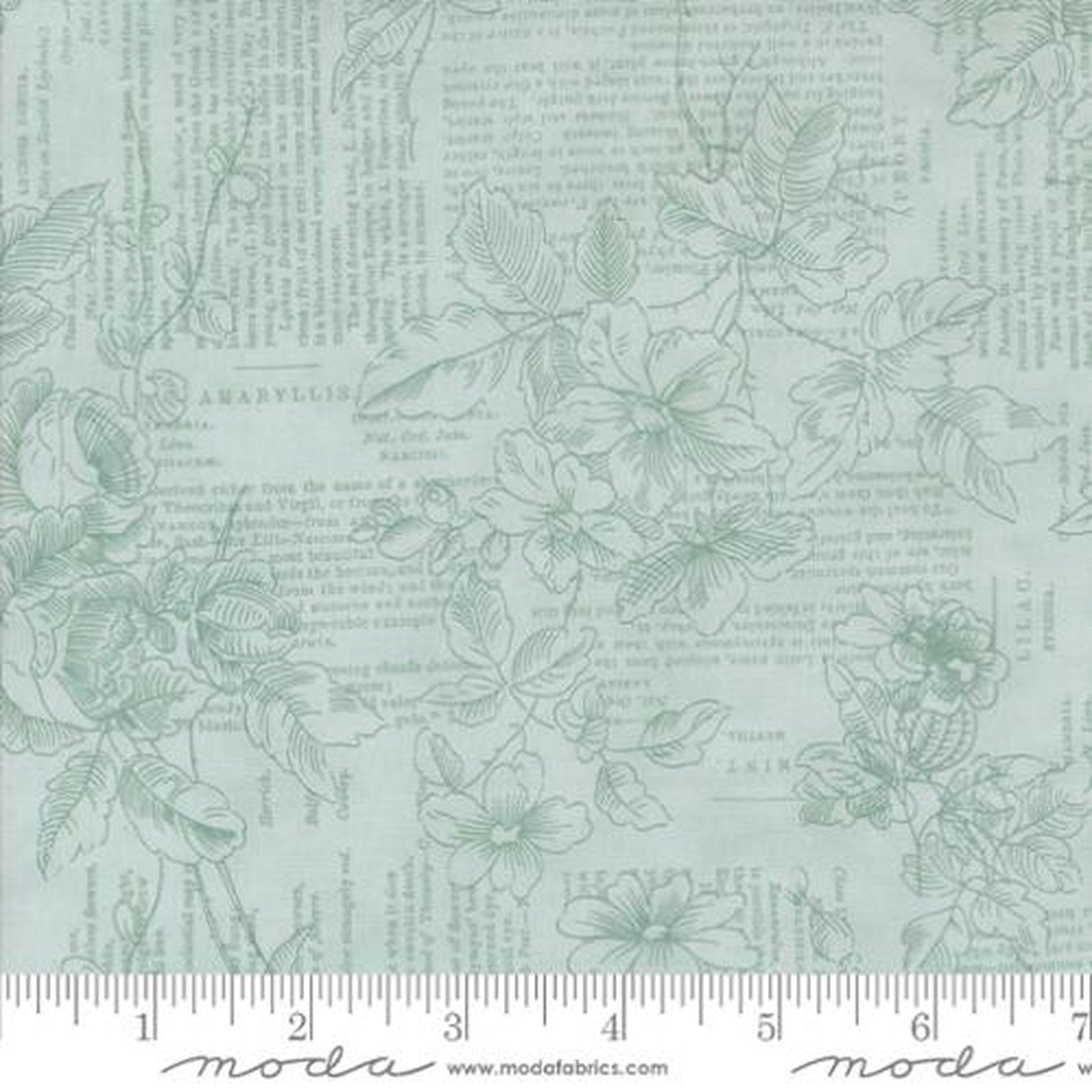 Muse by 3 Sisters - Poetry of Flowers: Sky