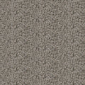 Naturescapes by Deborah Edwards - Flagstone Dark Gray