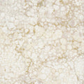 Northcott Sea Breeze Basic Bliss - Vanilla Cream