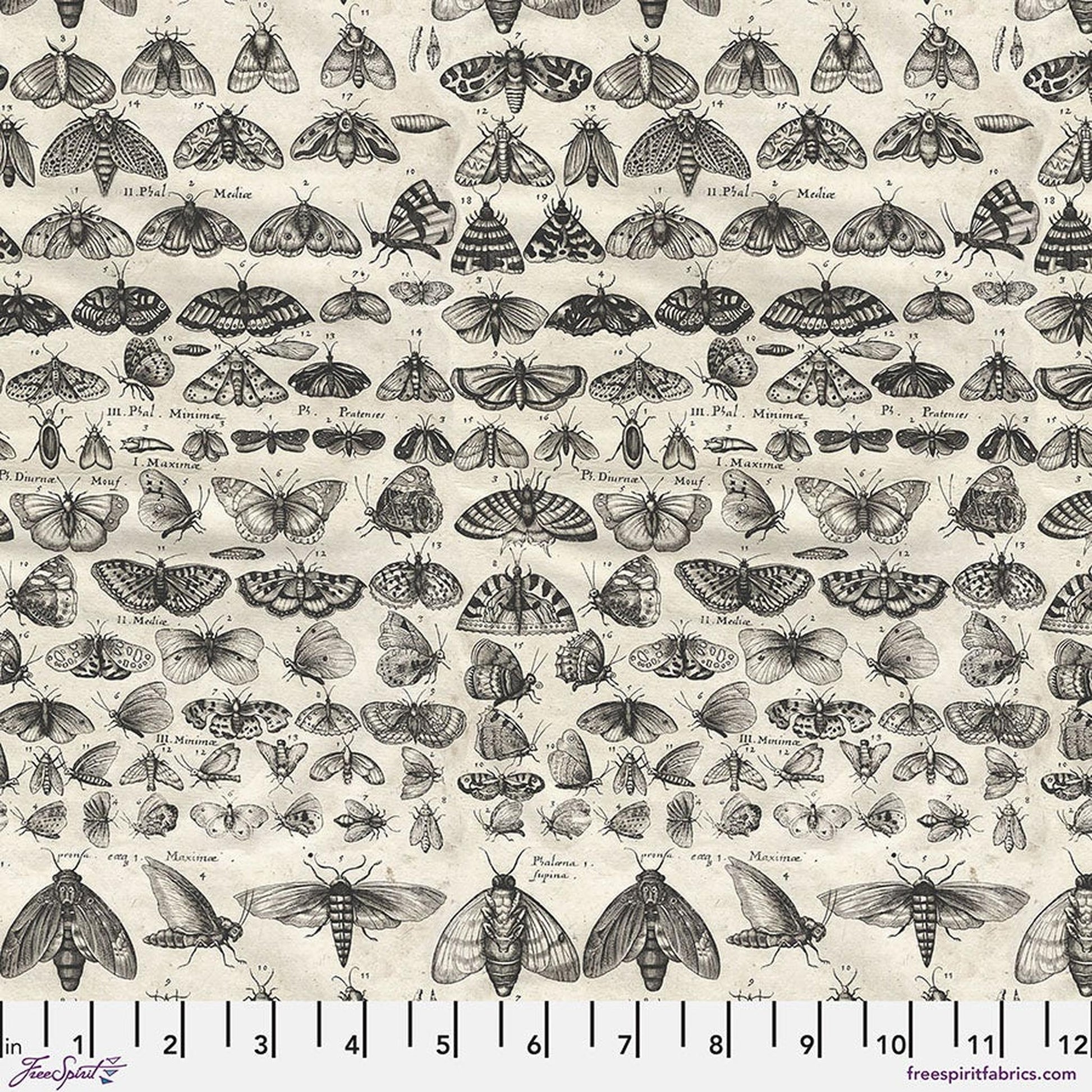 Palette Charcoal by Tim Holtz - Moths
