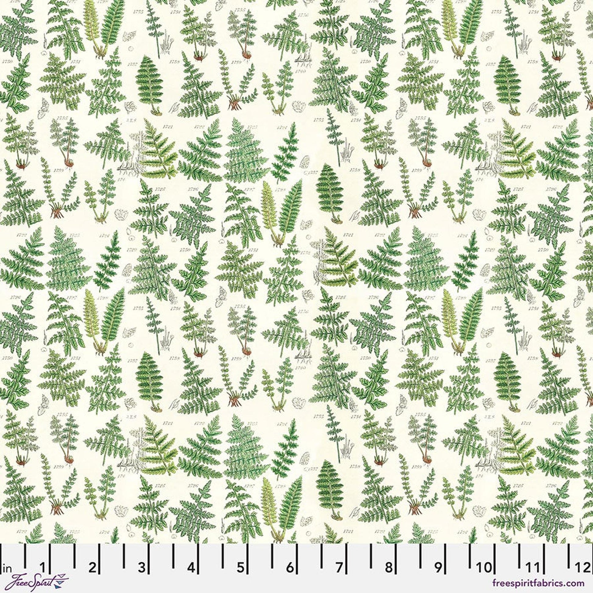 Palette Green by Tim Holtz - Ferns