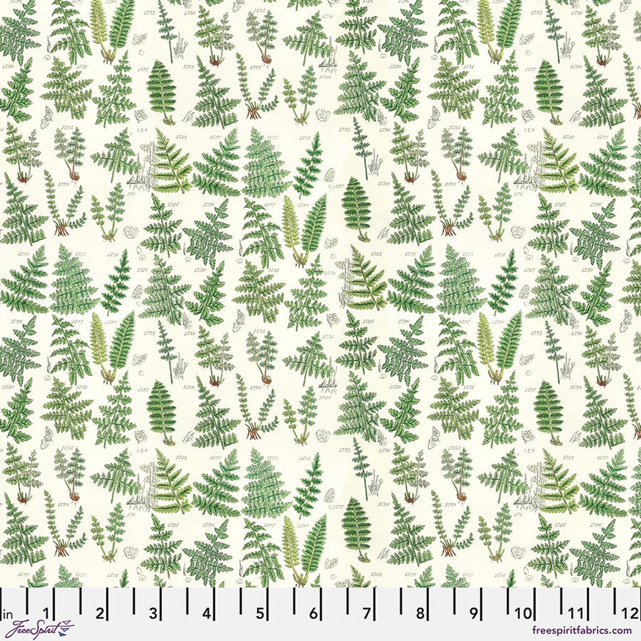 Palette Green by Tim Holtz - Ferns
