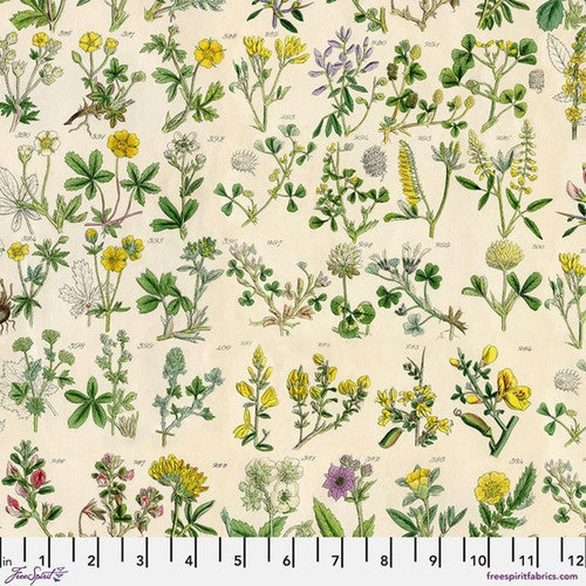 Palette Yellow by Tim Holtz - Botanicals