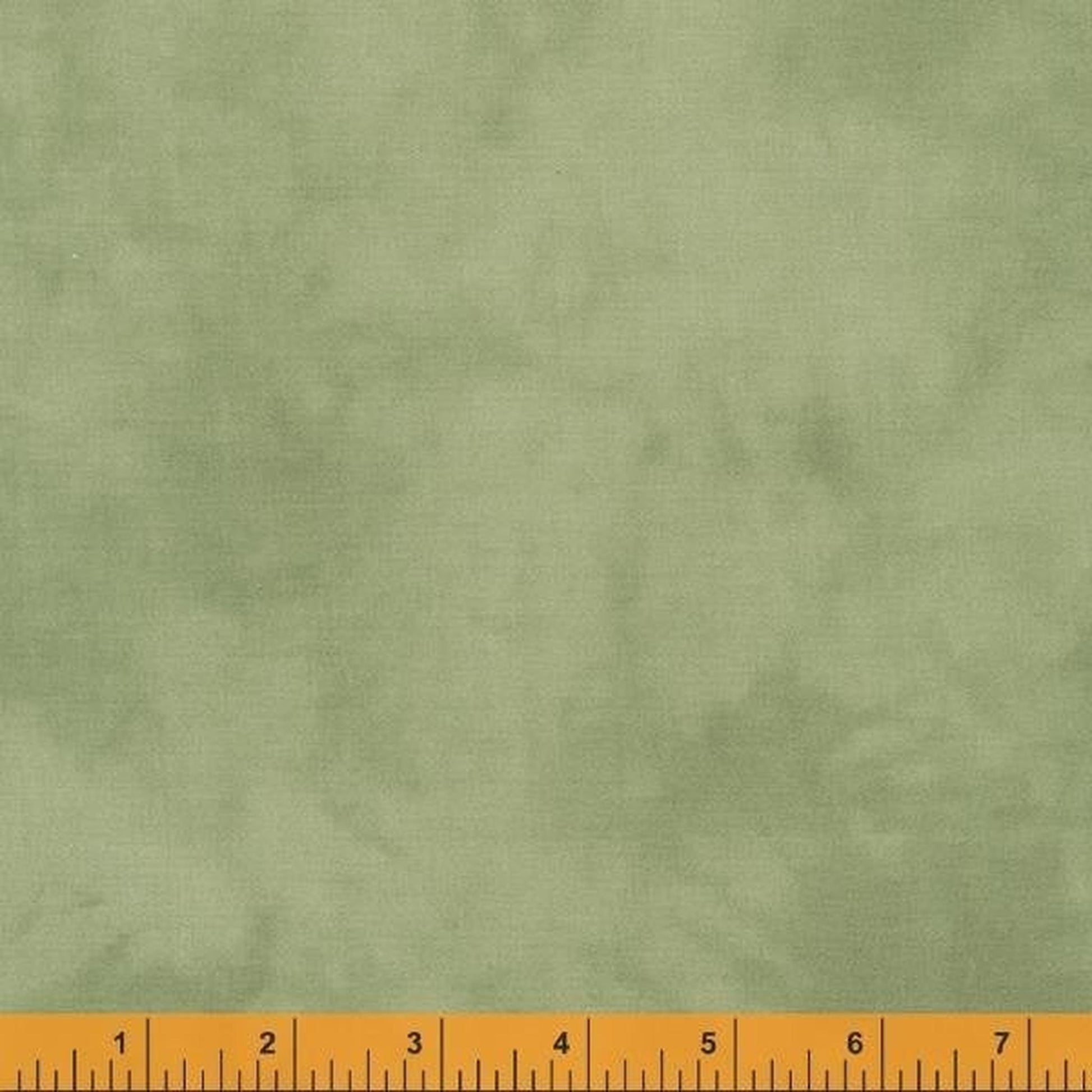 Palette by Marcia Derse - Lambs Ear