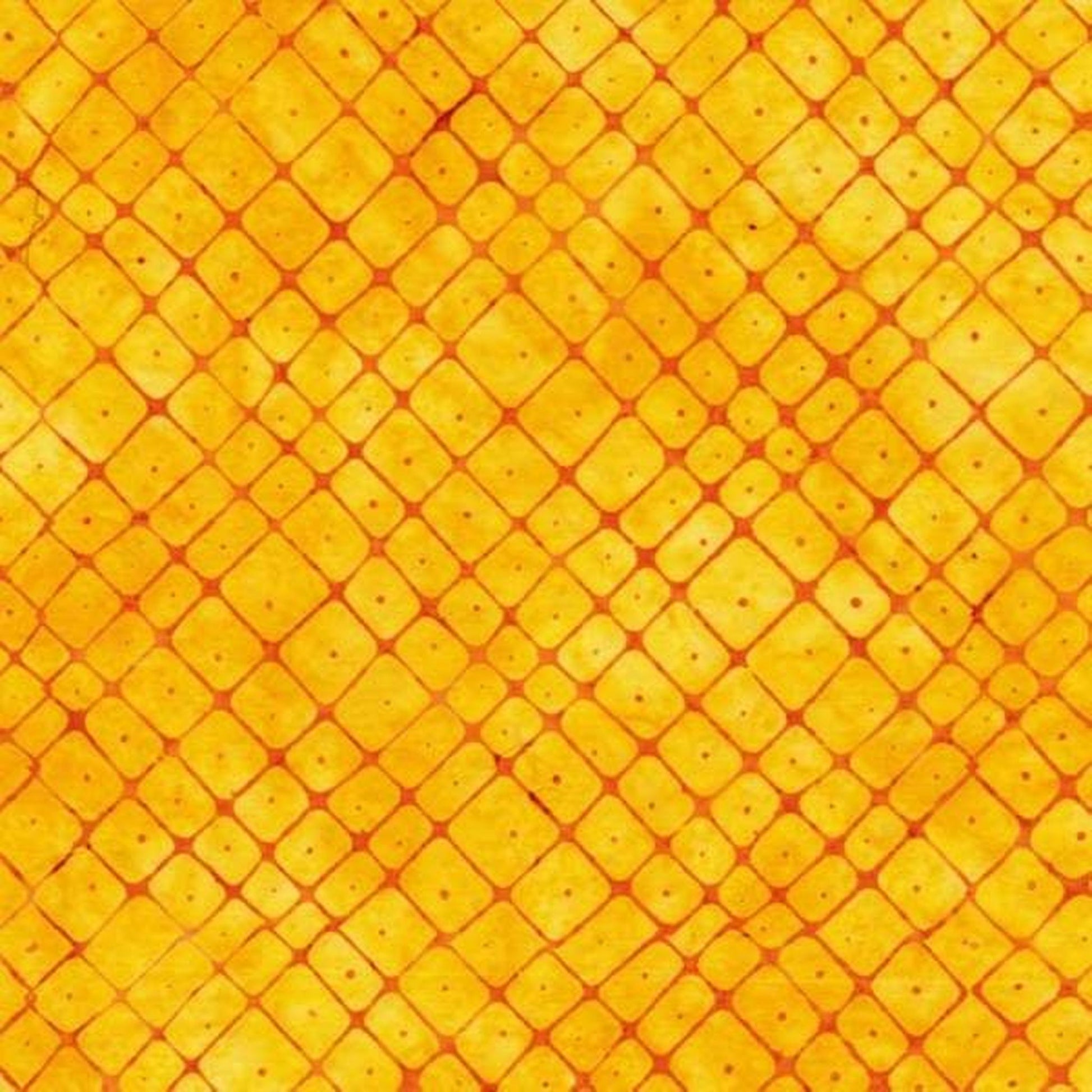 Pineapple Shibori by Anthology Specialty - Pineapple