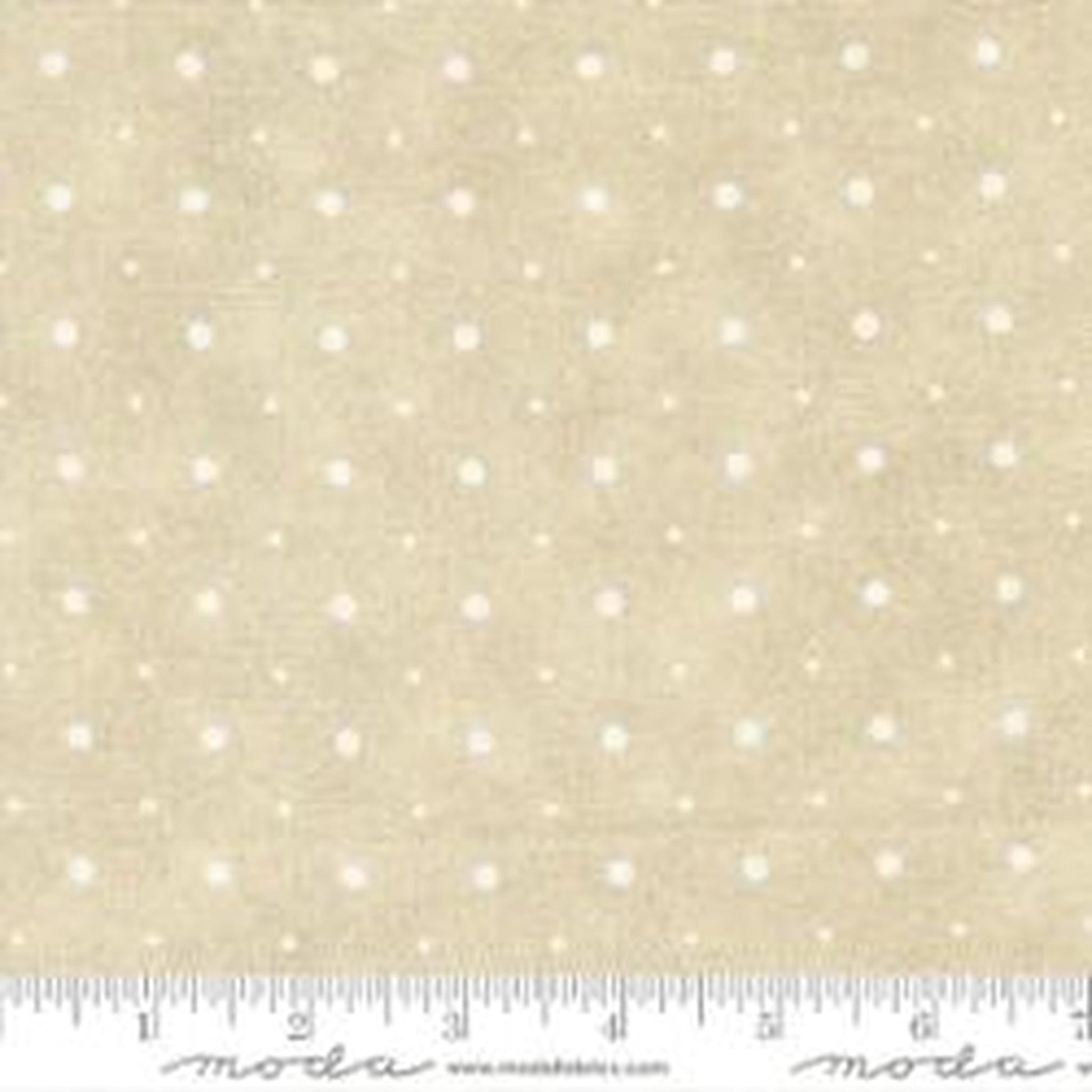 Posh Doily Dots Ivory Whisper White