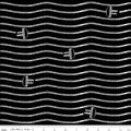 Press On by J. Wecker Frisch - Cord Stripe: Black