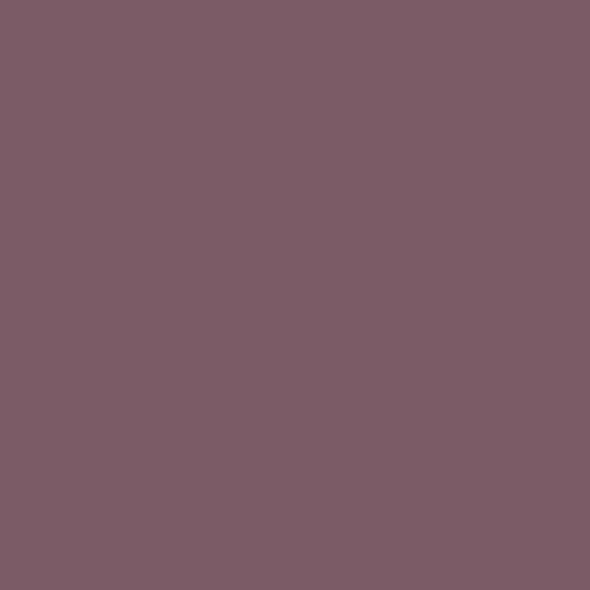 Pure Solids by AGF Studio - Bewitched