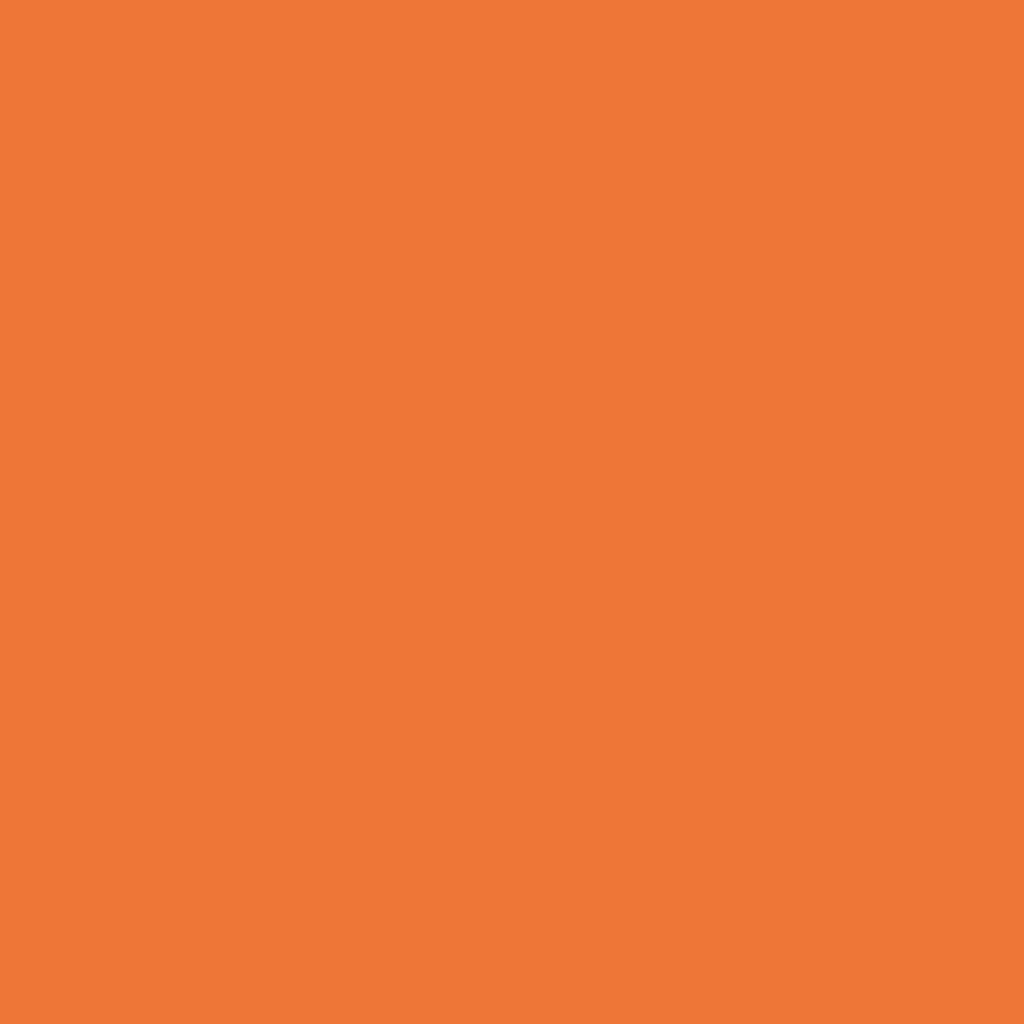 Pure Solids by AGF Studio - Burnt Orange
