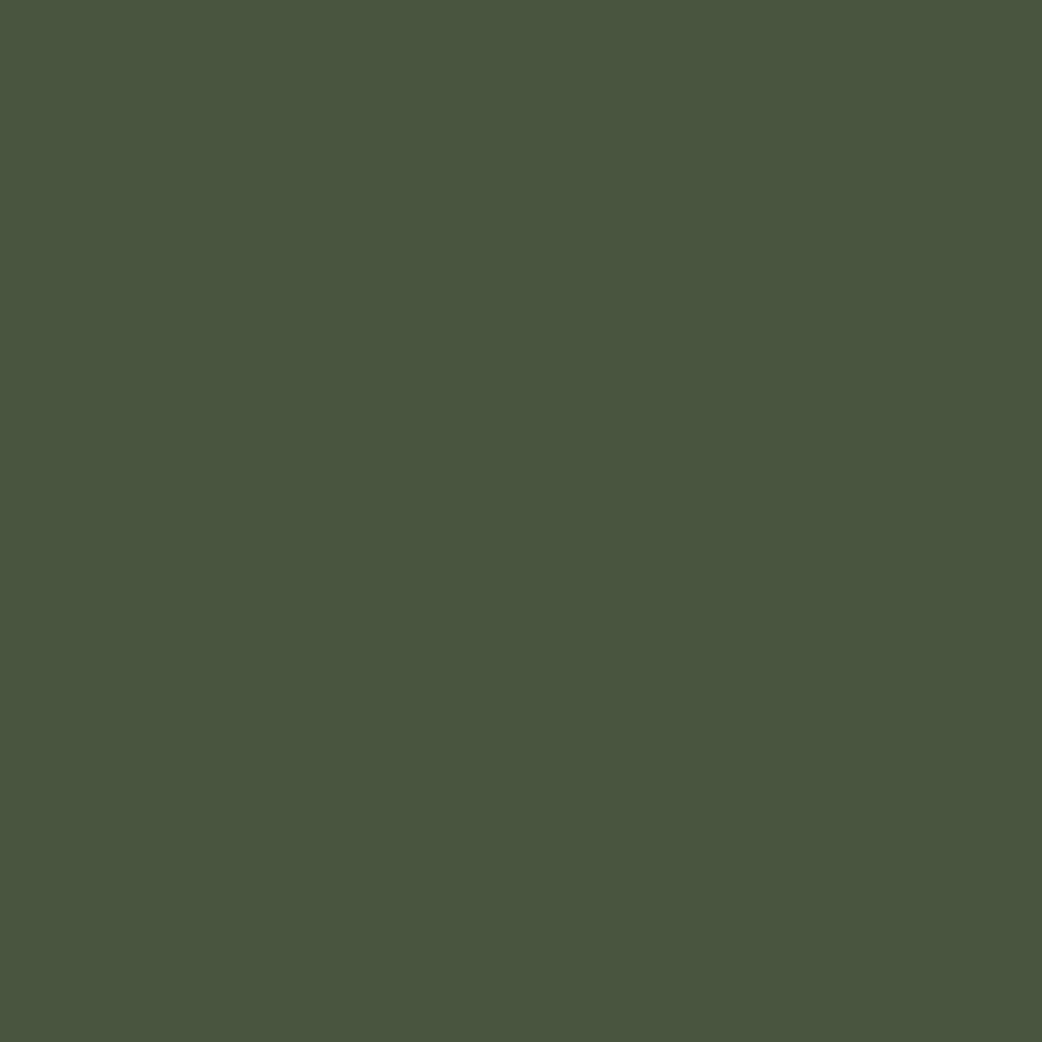 Pure Solids by AGF Studio - Eucalyptus