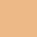Pure Solids by AGF Studio - Georgia Peach