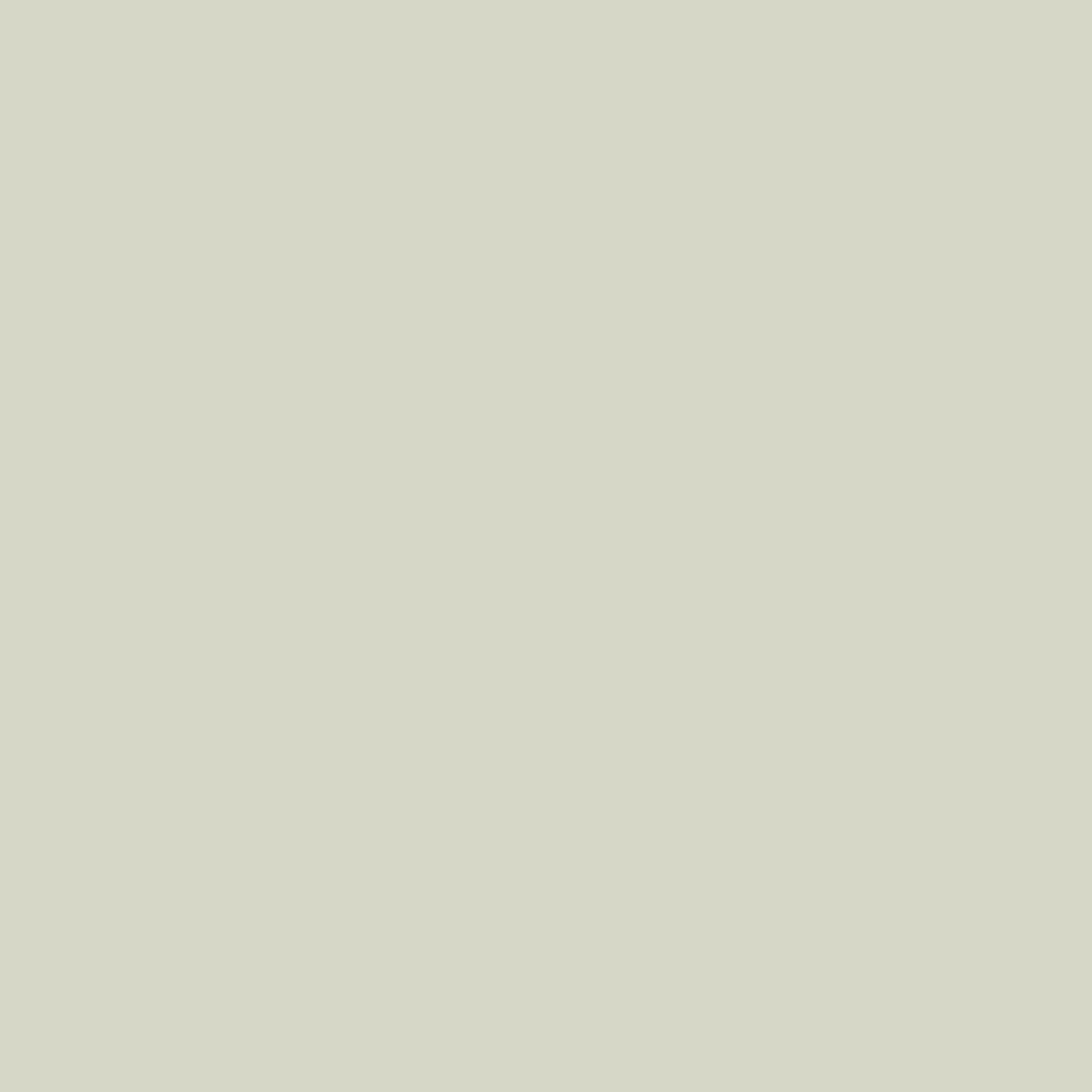Pure Solids by AGF Studio - Light Grey