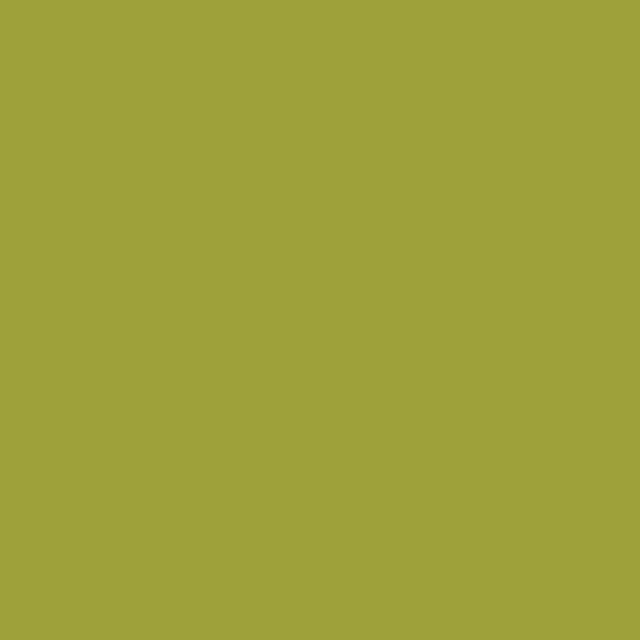 Pure Solids by AGF Studio -Parrot