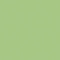 Pure Solids by AGF Studio - Pistachio Creme