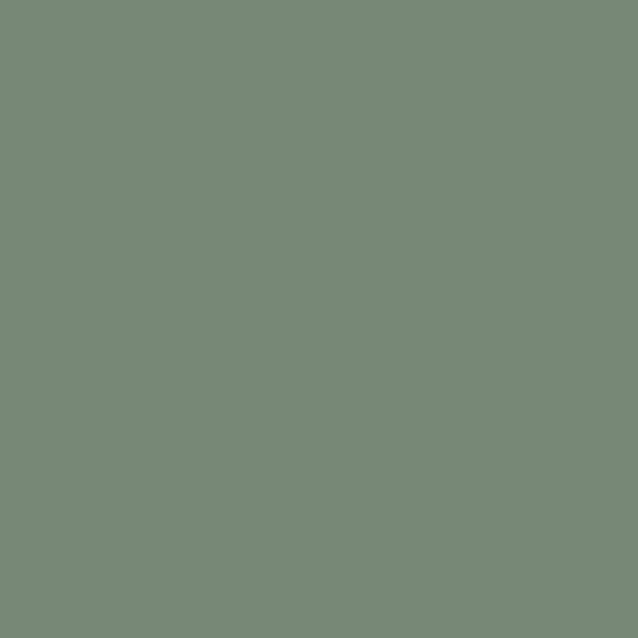 Pure Solids by AGF Studio - Rosemary