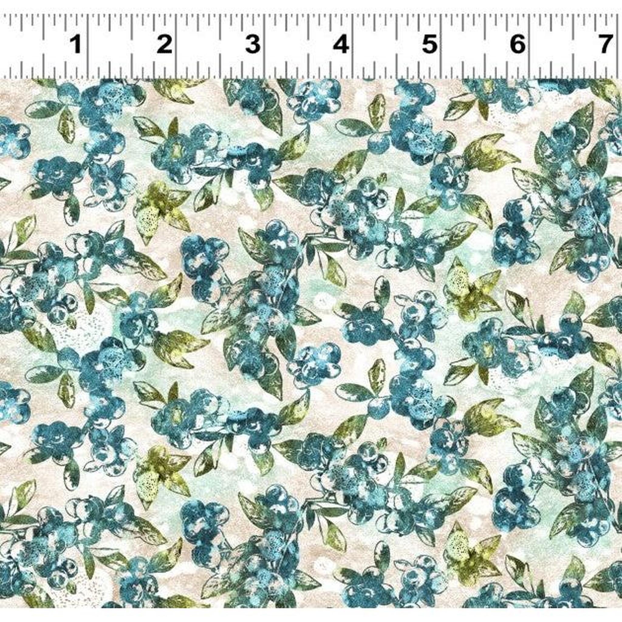 QMN 2025 Blueberries Teal