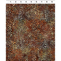 QMN 2025 Dot Brown