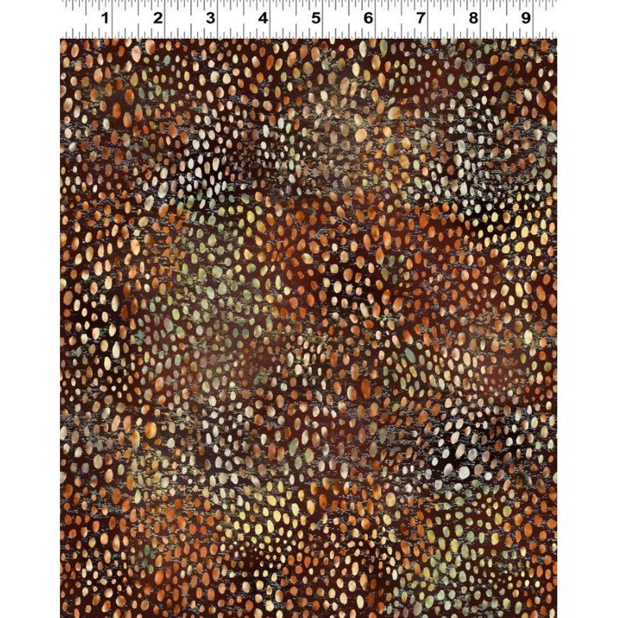 QMN 2025 Dot Brown