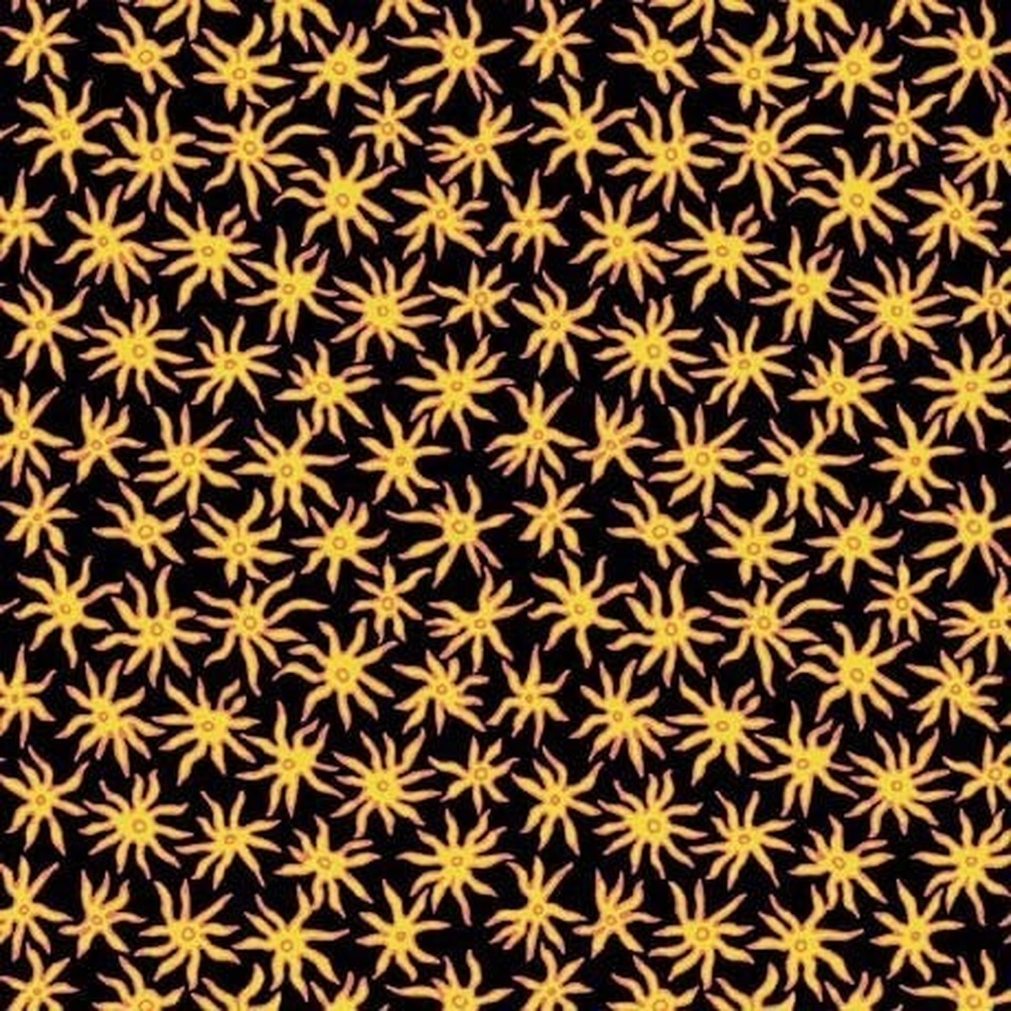 QT Cactus Garden - Spider Flower - Black