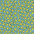 QT Cactus Garden - Spider Flower - Blue