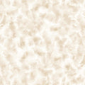QT Color Dance - EI