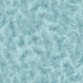 QT Color Dance - QI