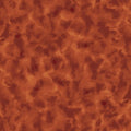 QT Color Dance - TT