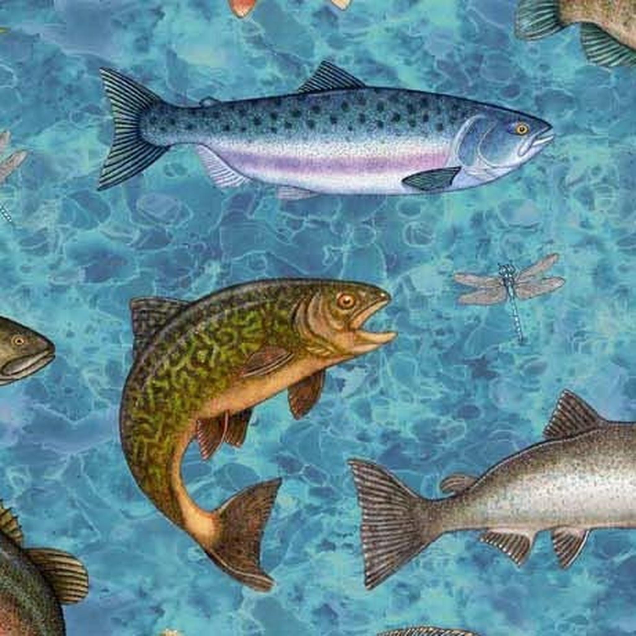 QT Fish Tails - Fish Allover - Turquoise