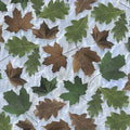 QT The Wonder of Nature - Leaves - Chambray