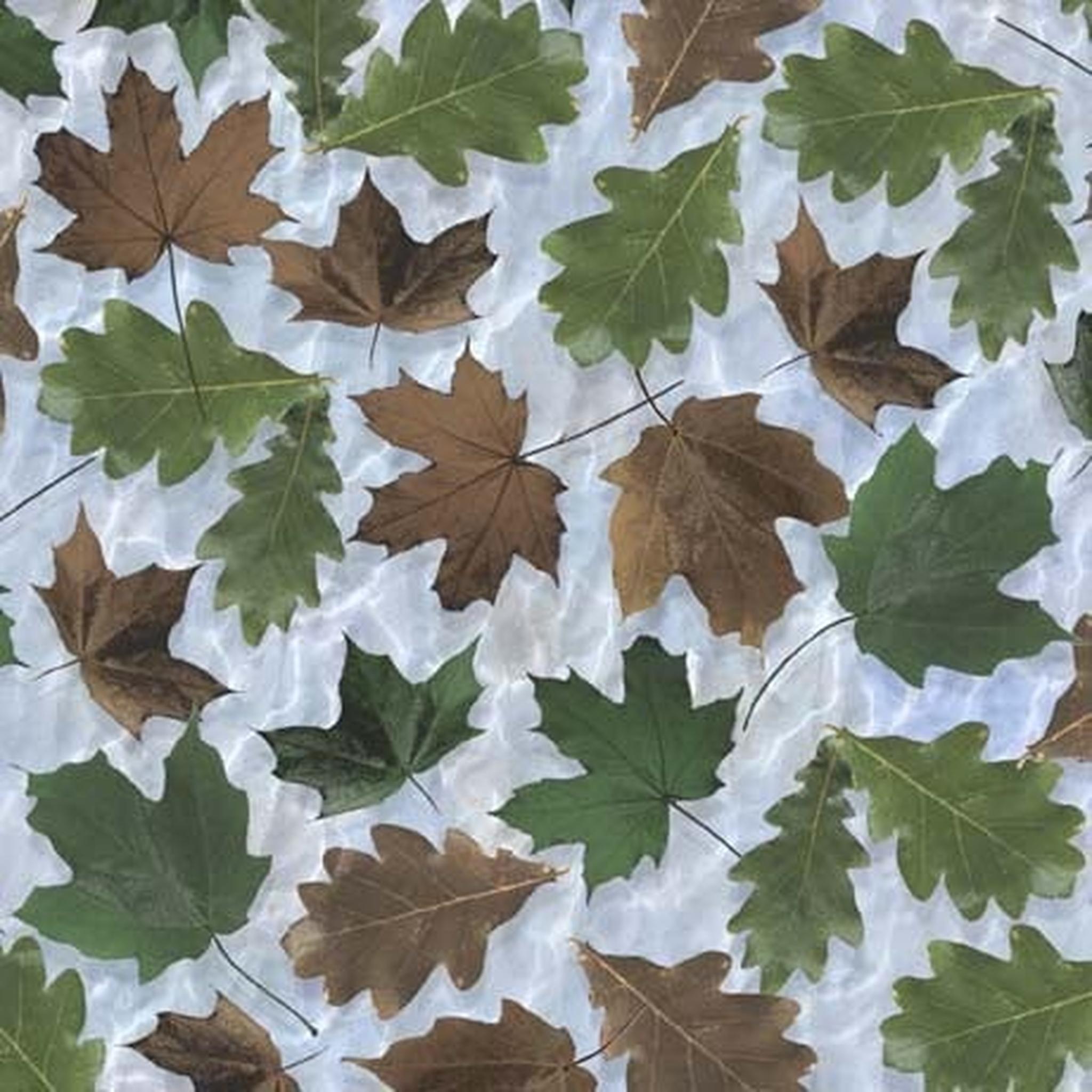 QT The Wonder of Nature - Leaves - Chambray