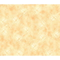 Quilting Treasures Vertex Weave Blender - Apricot