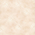 Quilting Treasures Vertex Weave Blender - Candlelight