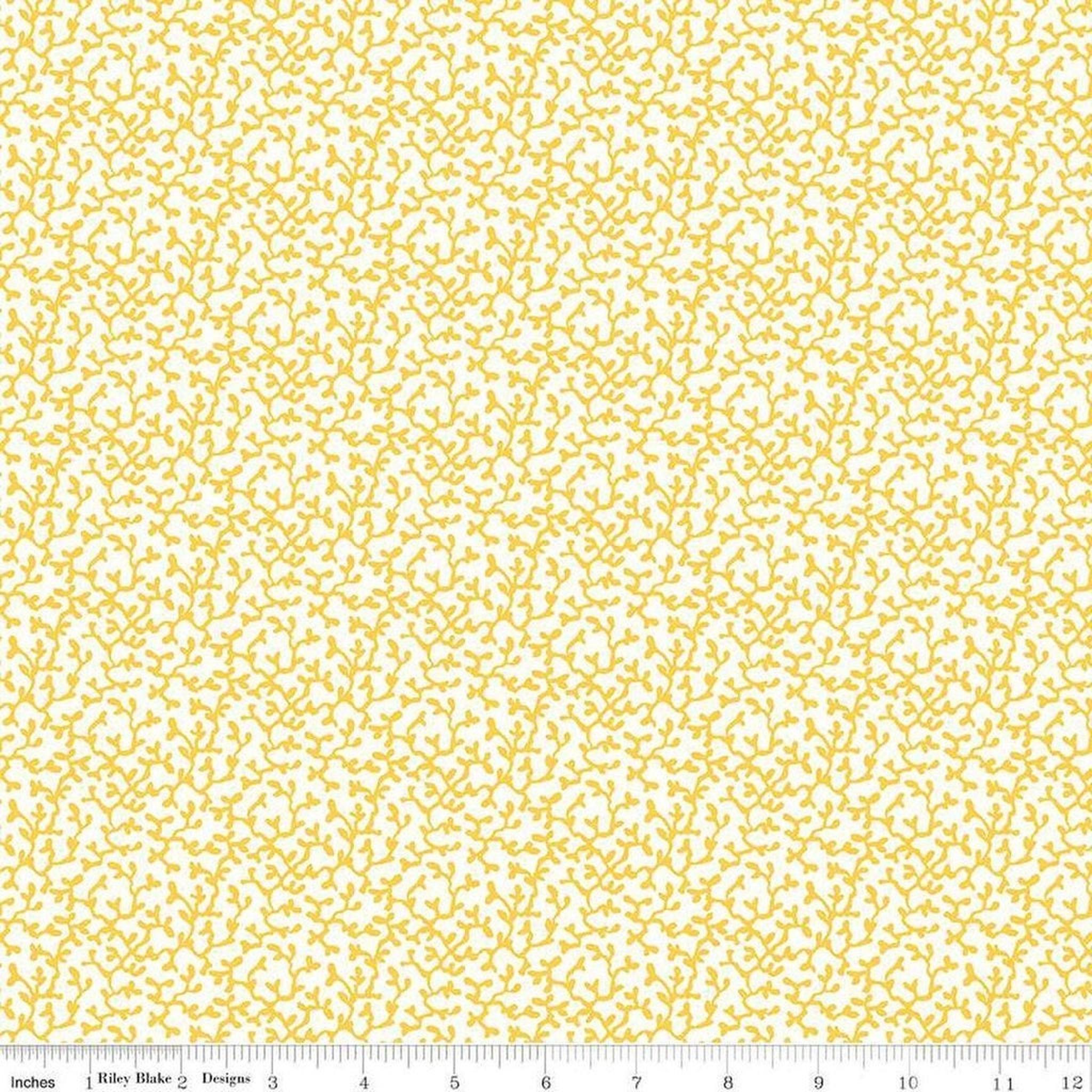 RB Riveria Collection - Corallium B