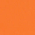 RK Big Sur Canvas - Carrot