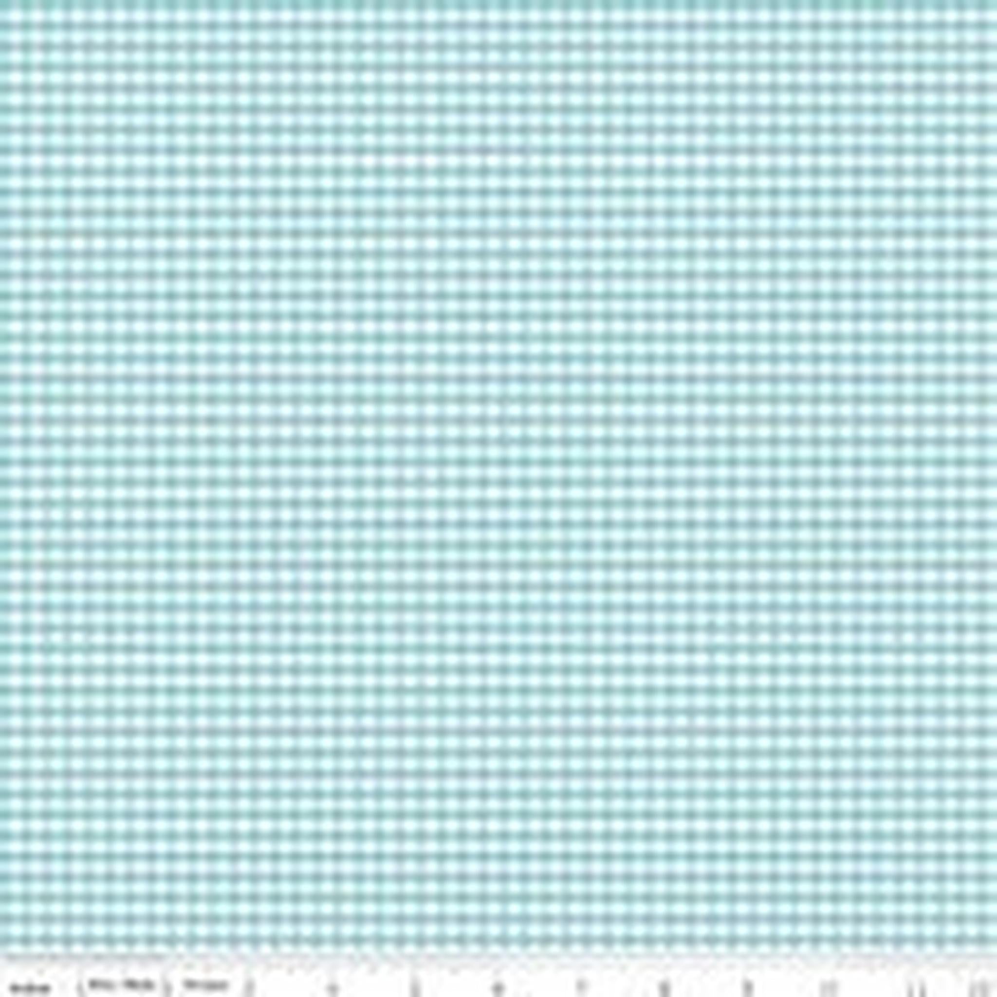 Riley Blake Small Gingham Check -Aqua