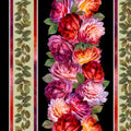Rose Grace by Carol Cavalris - Decorative Stripe